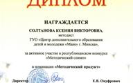 Солтанова Методический олимп 25
